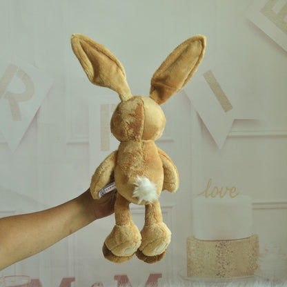 Cute Big Ears Rabbit Doll Plush Toys